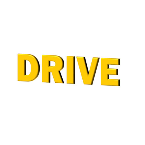 DRIVE SAS